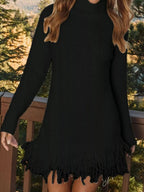 Fringe Turtleneck Long Sleeve Sweater Dress - Charmdeals